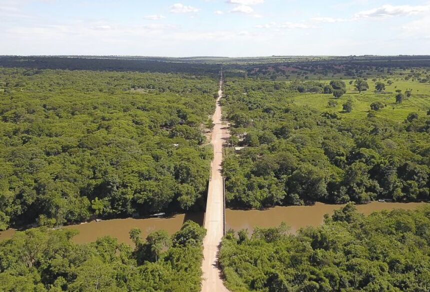 Os dois rapazes se desesperaram e subiram em um barranco para contar o ocorrido a alguém