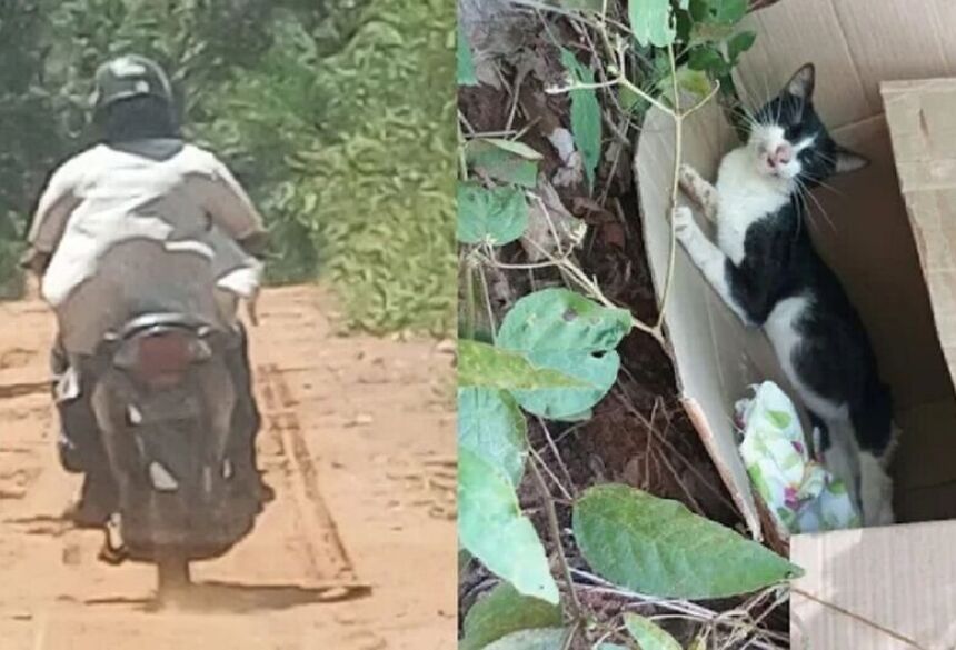 Motociclista é quem abandonou o felino