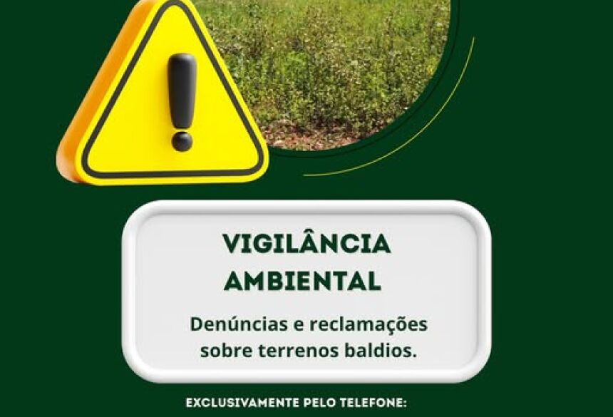 Imagem divulgada nas redes sociais 