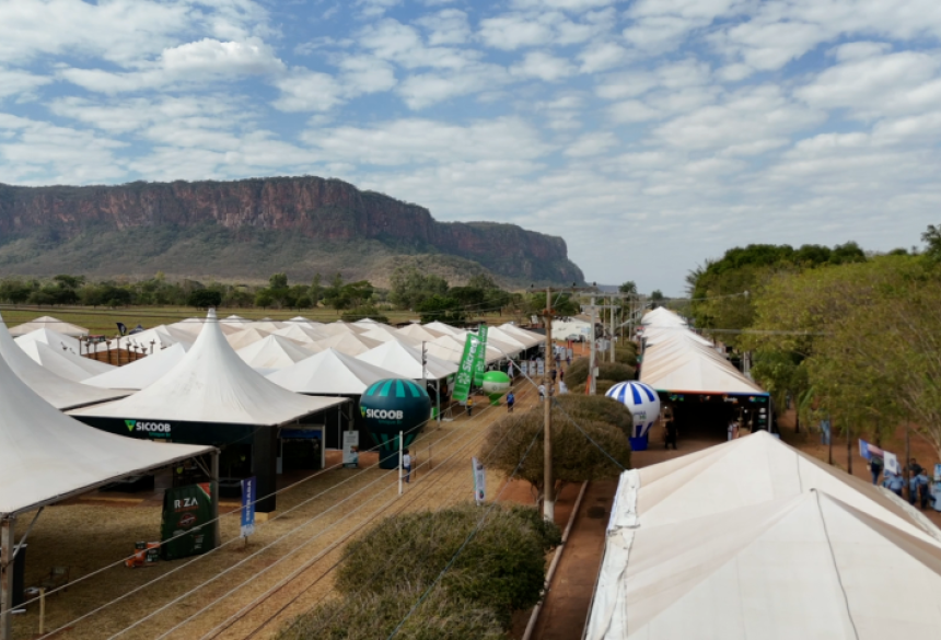 A agricultura familiar, pilar essencial para a economia e a cultura rural de Mato Grosso do Sul, garante a segurança alimentar 