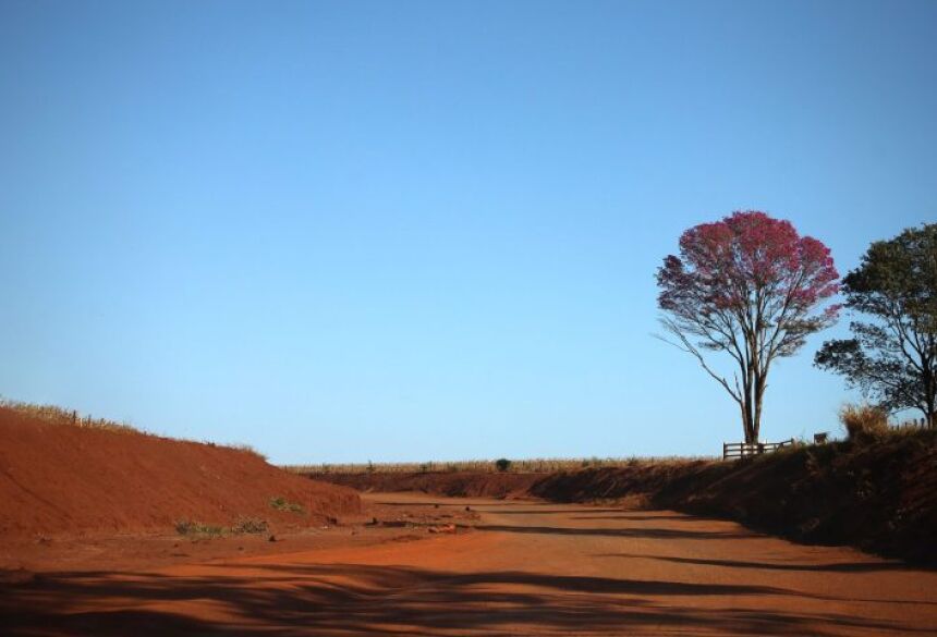 As temperaturas seguem amenas durante as madrugadas e manhãs, com mínimas entre 15°C e 17°C. Já as máximas devem variar entre 28°C e 32°C