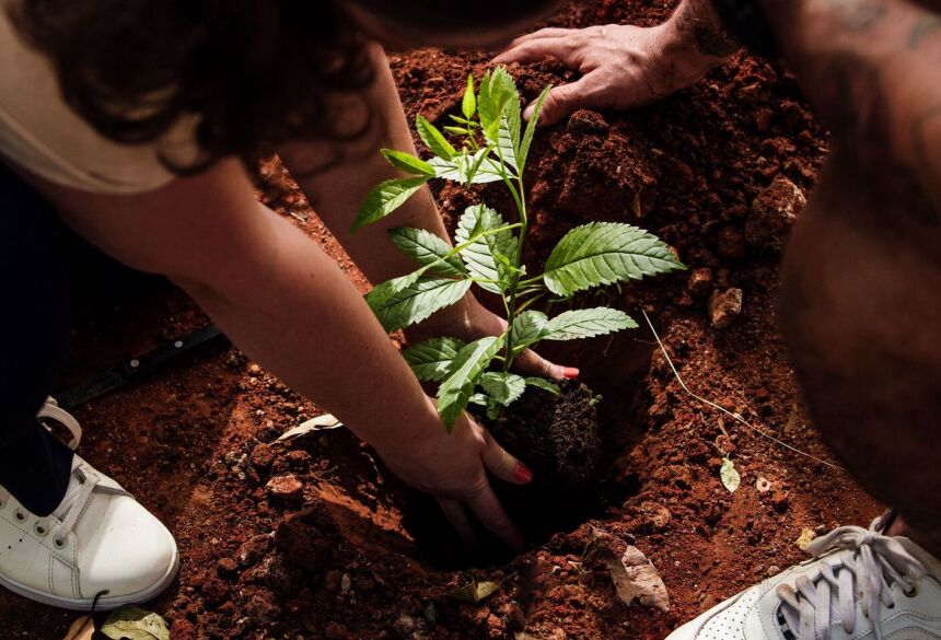 Um dos trabalhos realizados por Neo Avila é a educação ambiental para crianças e adolescentes
