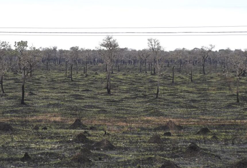Não houve nenhum incêndio em terras indígenas localizadas no Pantanal ou no bioma Cerrado no primeiro semestre deste ano