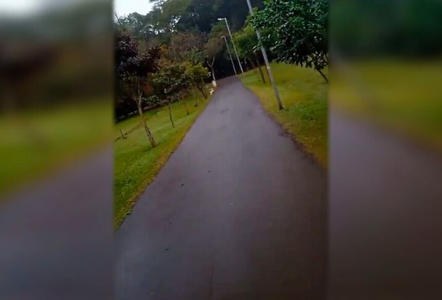 O caso aconteceu na manhã de segunda / Divulgação   