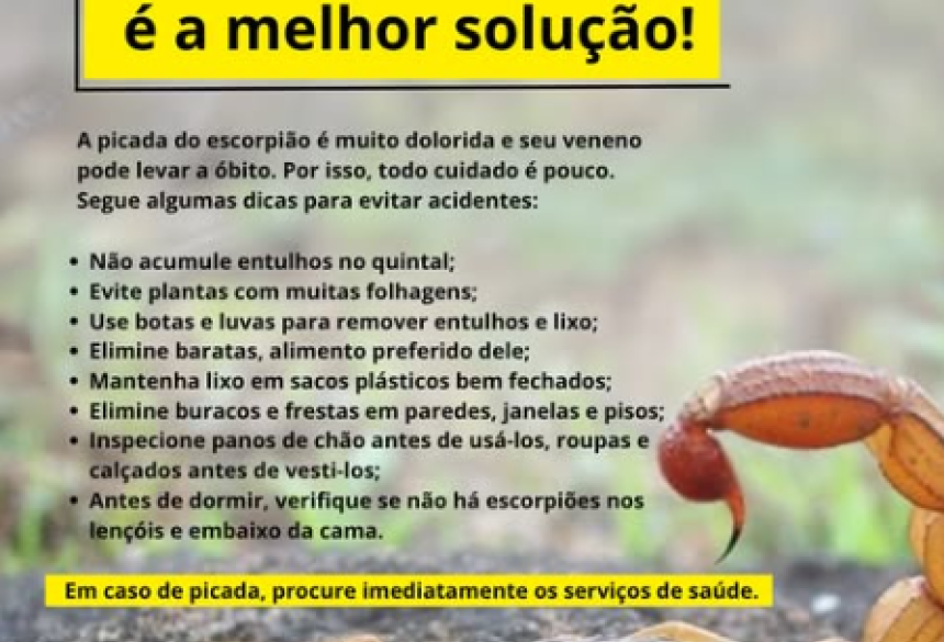 De acordo com a publicação, manter o quintal limpo, eliminar entulhos e fechar frestas são ações fundamentais para evitar a presença desses animais 