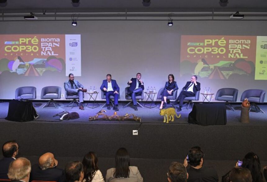 Além disso, tem a maior área de sistemas integrados de produção do país e teve seu crescimento agrícola (aproximadamente 4 milhões de hectares nos últimos 10 anos) 