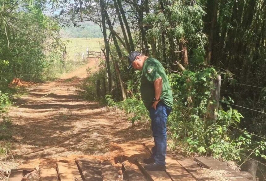 Imagem divulgada nas redes sociais 