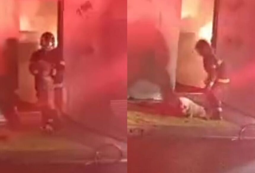 O animal estava dentro do imóvel em chamas quando foi retirado pelo Corpo de Bombeiros / Reprodução/Redes Sociais 