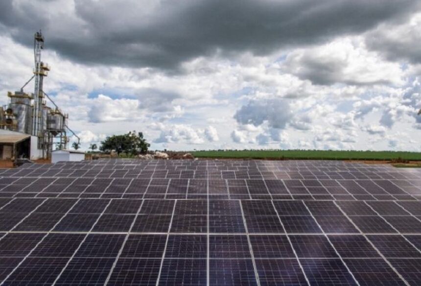 Verruck afirmou que Mato Grosso do Sul já é líder nacional na produção de energia a partir da biomassa da cana-de-açúcar e florestas plantadas