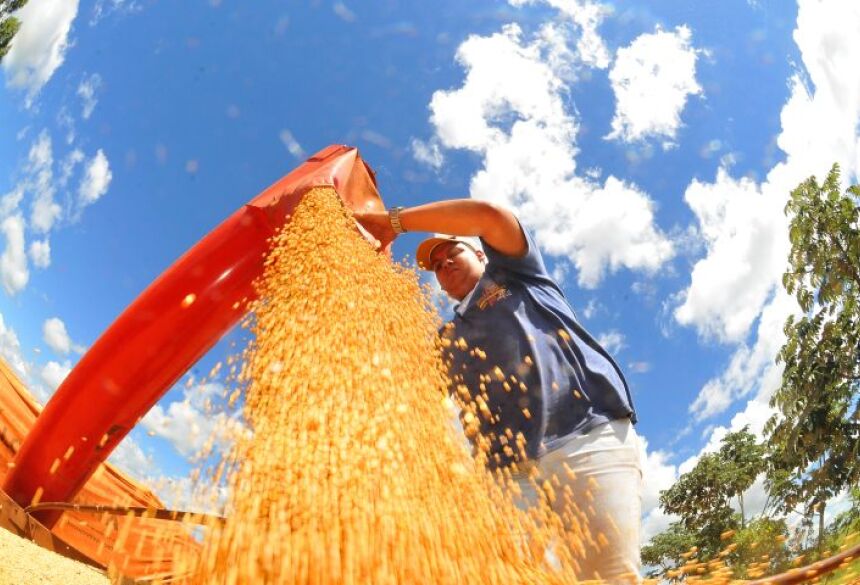 Na composição da renda, a agricultura segue líder, representando 63,83% do VBP estadual  equivalente a R$ 48,71 bilhões