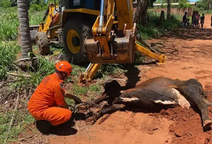 Na sequência, o operador da prefeitura preencheu a fossa com terra, garantindo a segurança do local e evitando novos acidentes