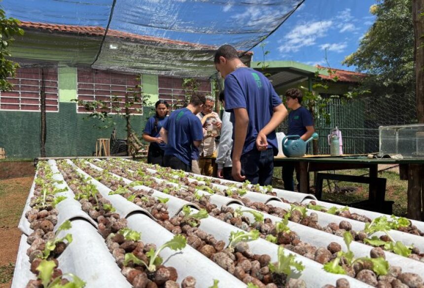 A horta também é um exemplo de interdisciplinaridade em ação