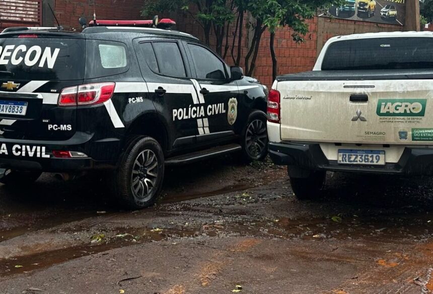 Os fiscais verificaram que não havia documentação que comprovasse a procedência da matéria-prima