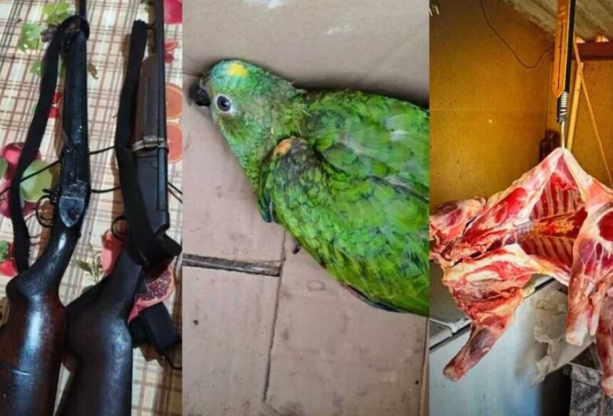 Ao atender chamado de violência doméstica, polícia liga suspeito a diversos crimes / Cenário MS  