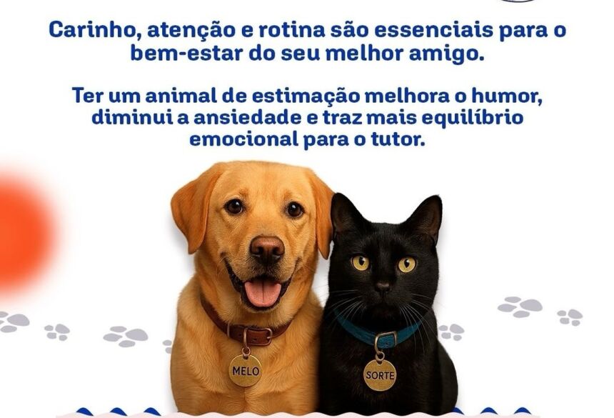 A adoção responsável transforma vidas  tanto de quem adota quanto dos animais que recebem um novo lar, carinho e cuidados - Imagem divulgada nas redes sociais 