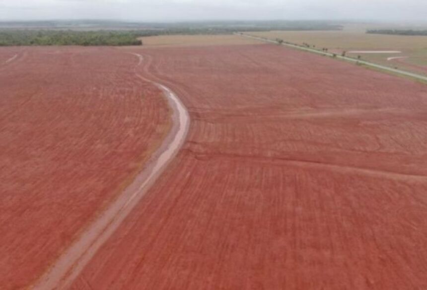  O papel da Agraer (Agência de Desenvolvimento Agrário e Extensão Rural) também foi citado pelo secretário executivo,