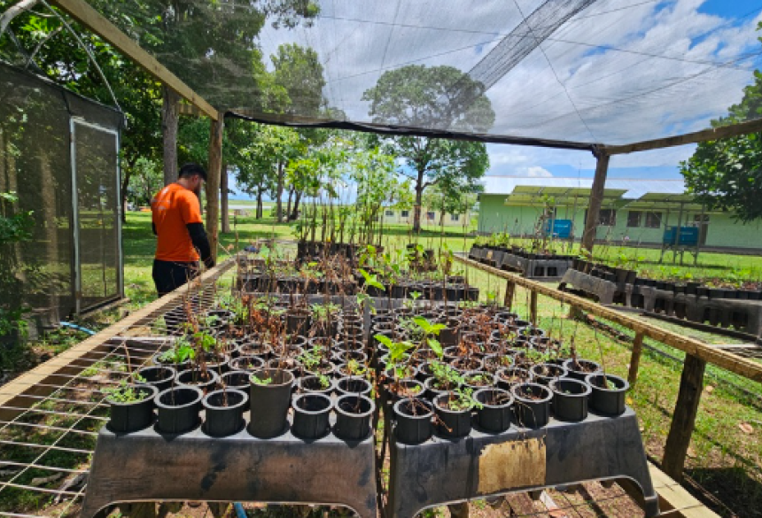 Projeto "Do Solo ao Futuro" implementa sete frentes, incluindo restauração ambiental, agroflorestas em escolas rurais, produção de mudas nativas, educação ambiental e fortalecimento da Brigada Alto Pantanal