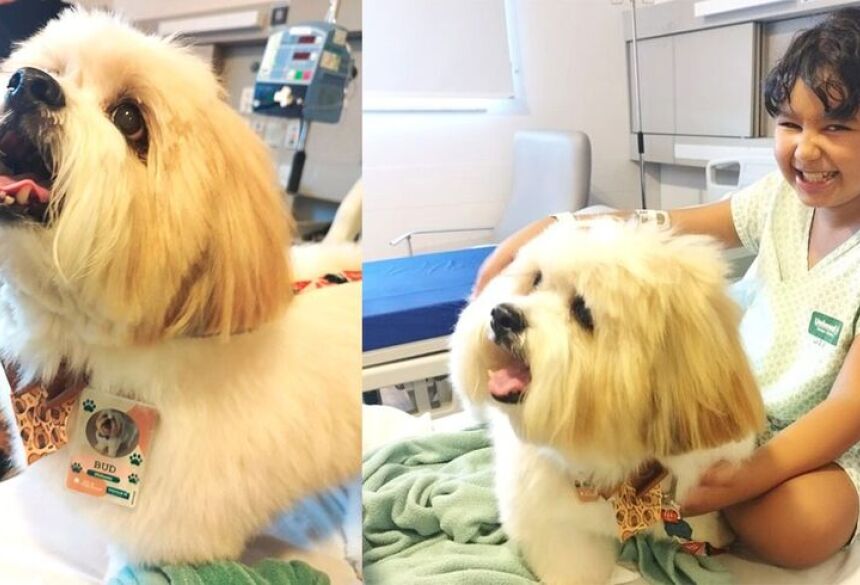 A ideia era levar o cachorro da família ao encontro da menina, mas como ele é de grande porte e vive em Água Clara