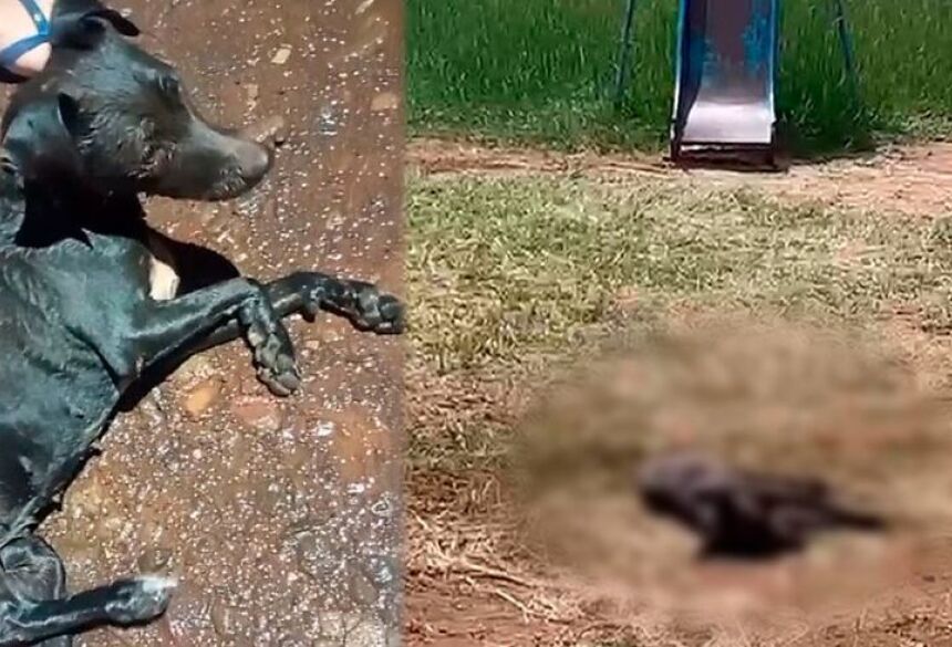 A enxurrada invade vias, forma grandes poças e deixa trechos praticamente intransitáveis, além de acumular barro por toda parte