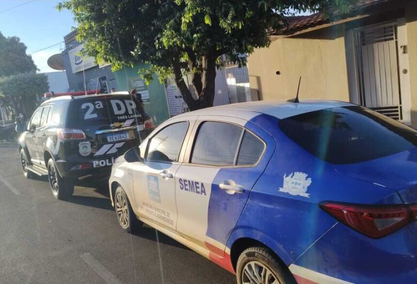 A mobilização começou a partir de uma denúncia anônima recebida pela Secretaria Municipal de Meio Ambiente e Agronegócio