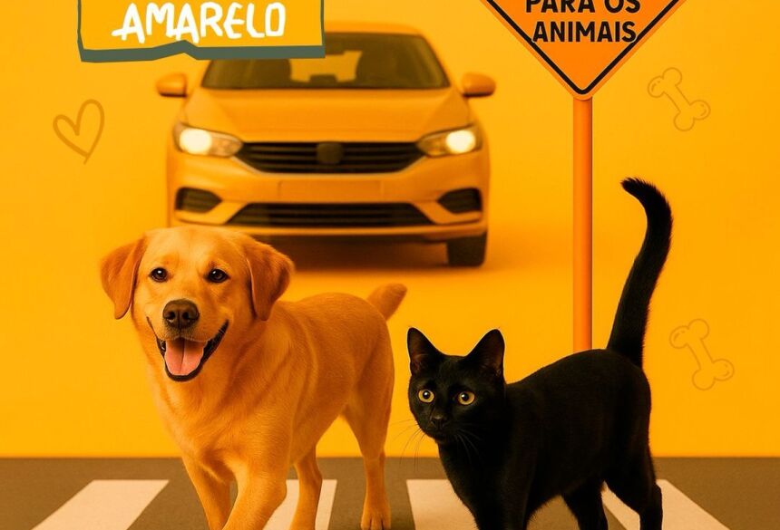 Imagem divulgada nas redes sociais 