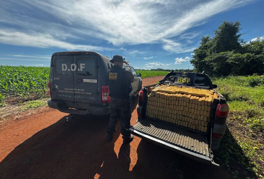 Entre os resultados da operação estão a apreensão de cerca de 2 toneladas de maconha, recuperação de dois veículos com registro de furto/roubo