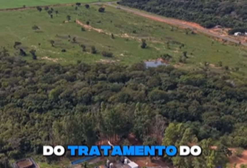 Imagem divulgada nas redes sociais 