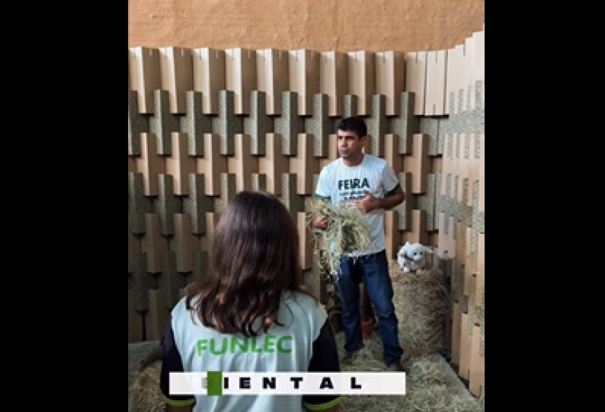 Imagem divulgada nas redes sociais 