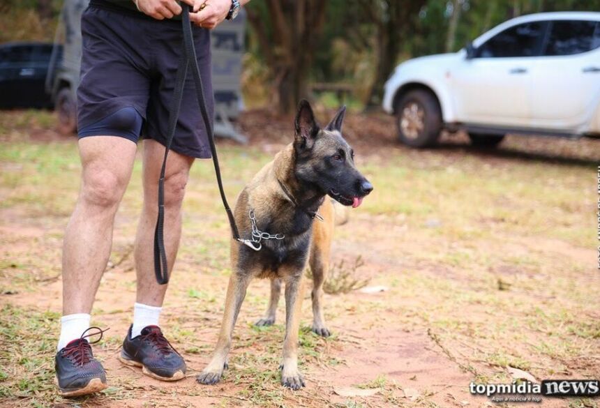 As vítimas chamaram equipes da Polícia Militar 