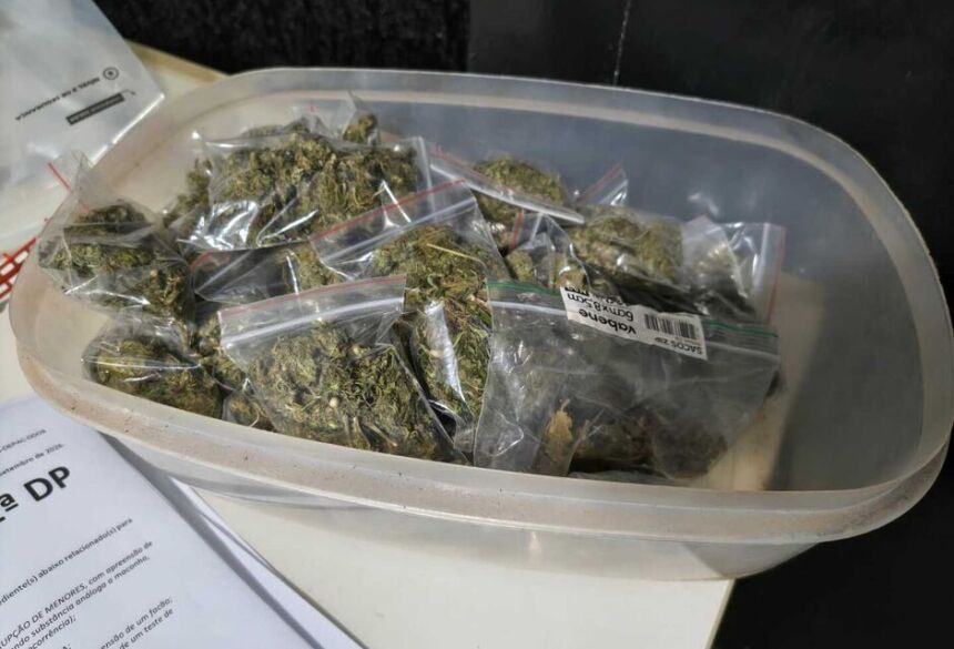 Durante a abordagem, foi encontrada uma porção de maconha