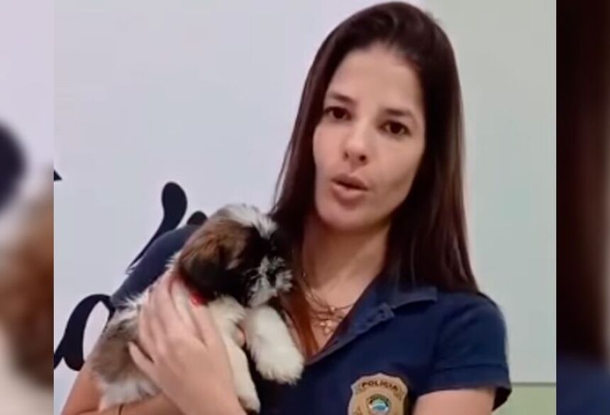 A prisão ocorreu após as imagens repercutirem nas redes sociais e denúncias chegarem às autoridades