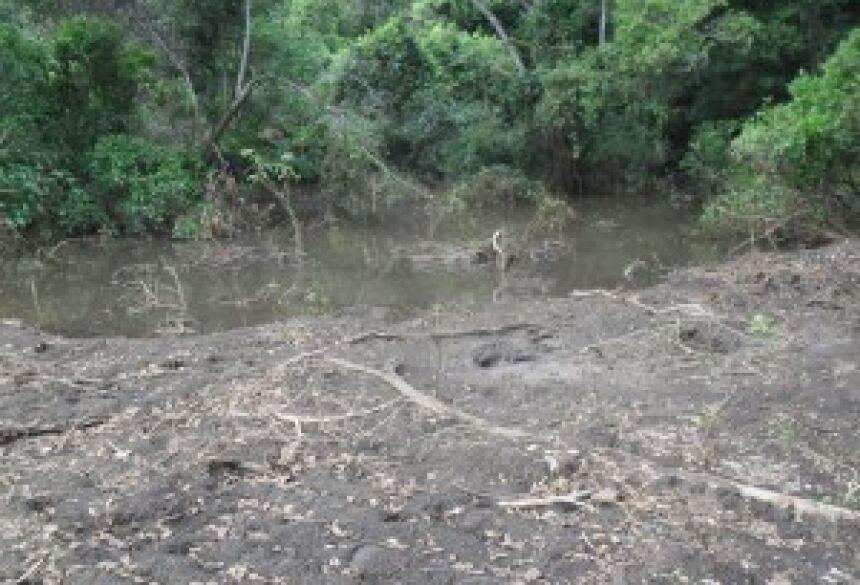 Matas ciliares de lagoa foram derrubadas  (Foto: Divulgação/PMA)