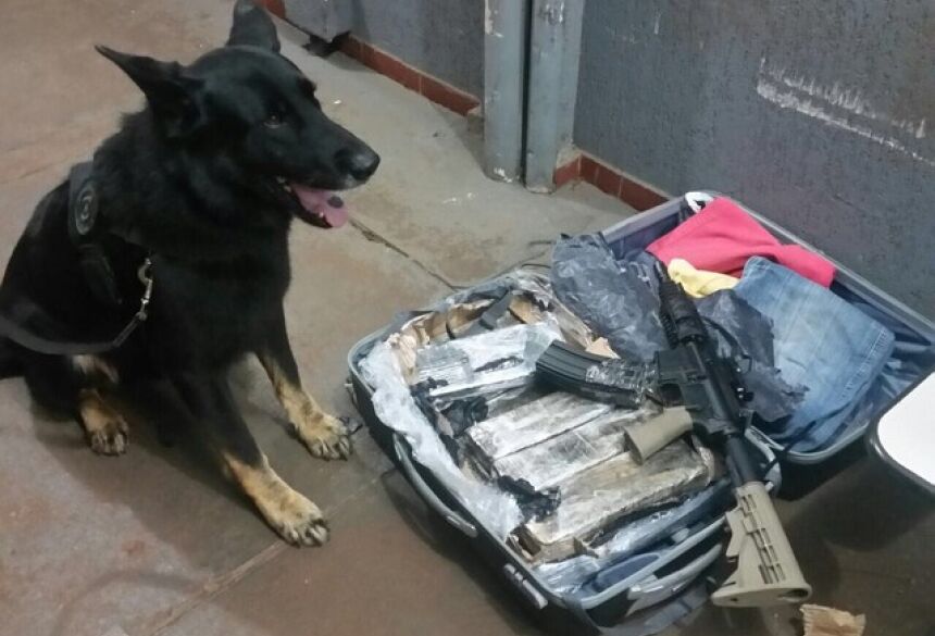 Maconha e Fuzil encontrados por cão farejador e Polícia Federal (Foto: PF/Divulgação)