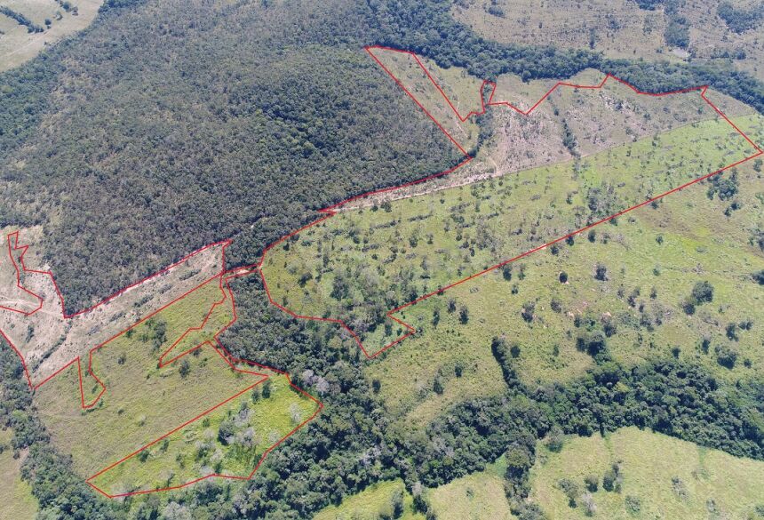 PMA autua fazendeiro em R$ 27 mil por desmatamento ilegal de 27 hectares de vegetação nativa