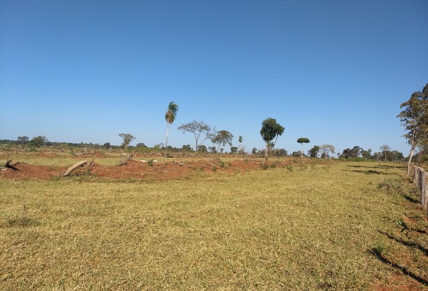 PMA autua fazendeiro em R$ 9,8 mil por desmatamento ilegal de duas áreas em Guia Lopes