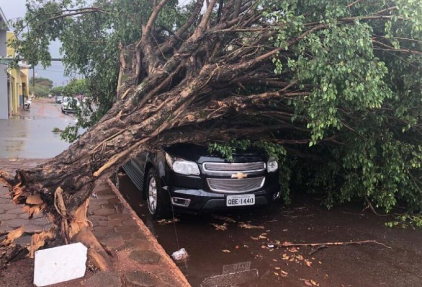 Em Nova Alvorada, camionete ficou destruída com queda de árvore - Foto: Nova Alvorada Informa