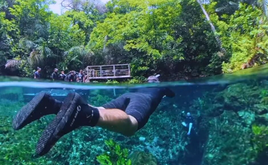 Venha Viver um Contato Singular com a Natureza na Nascente Azul em Bonito - MS