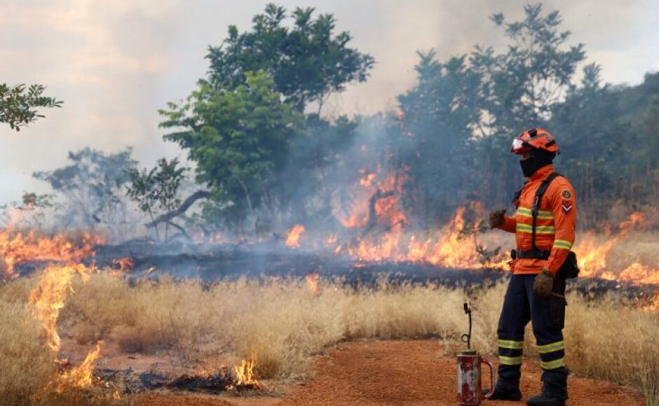Bombeiros de MS se preparam para temporada de incêndios florestais com treinamentos e ações em campo