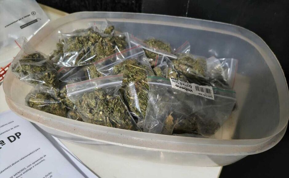 Com drogas, adolescente diz receber salário semanal para traficar em MS