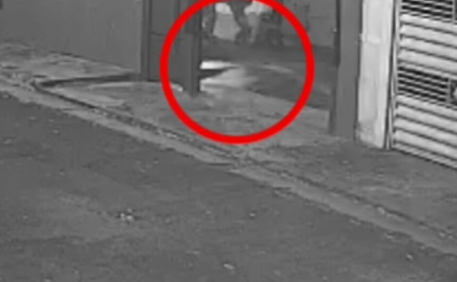Tutor é denunciado por judiar de cachorro 