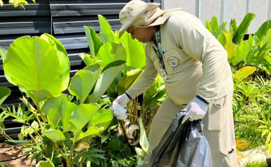 MS registra 10,6 mil casos confirmados de chikungunya neste ano