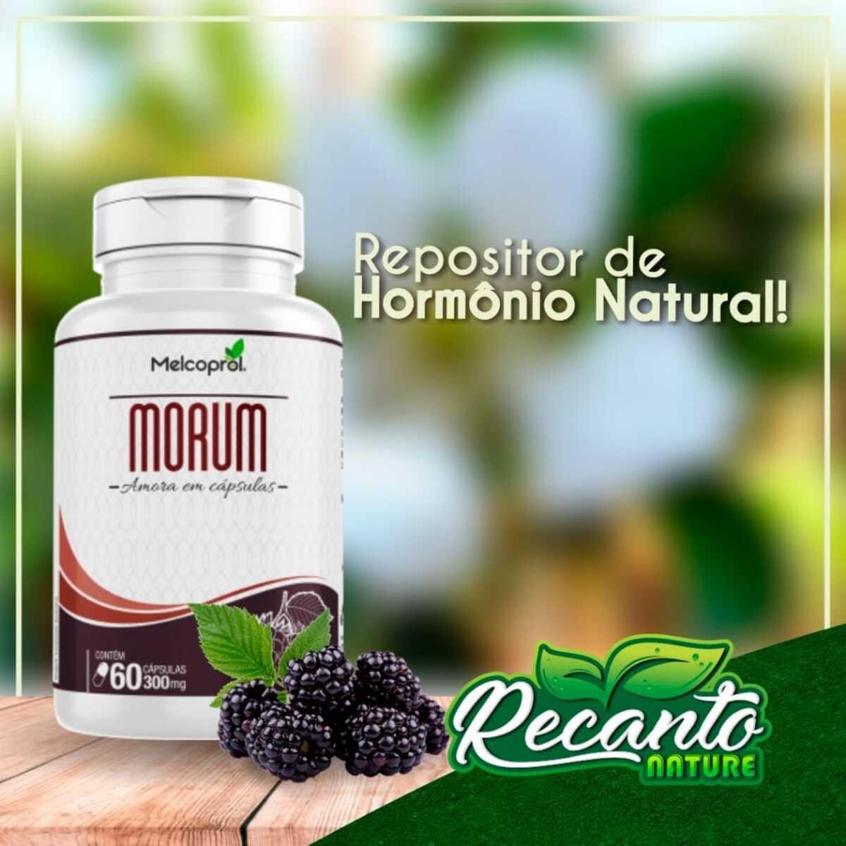 Cápsula de amora - Para tratamento de sintomas da menopausa e ...