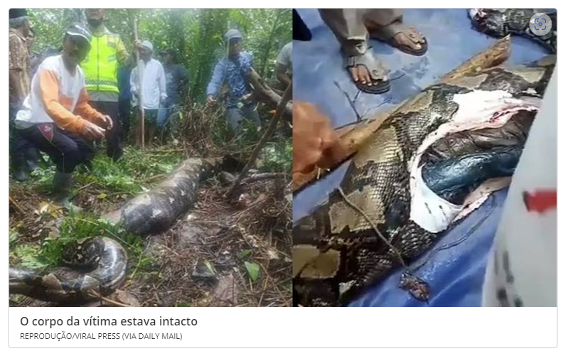 Terror Mulher Desaparecida é Encontrada Morta Dentro De Cobra De Quase