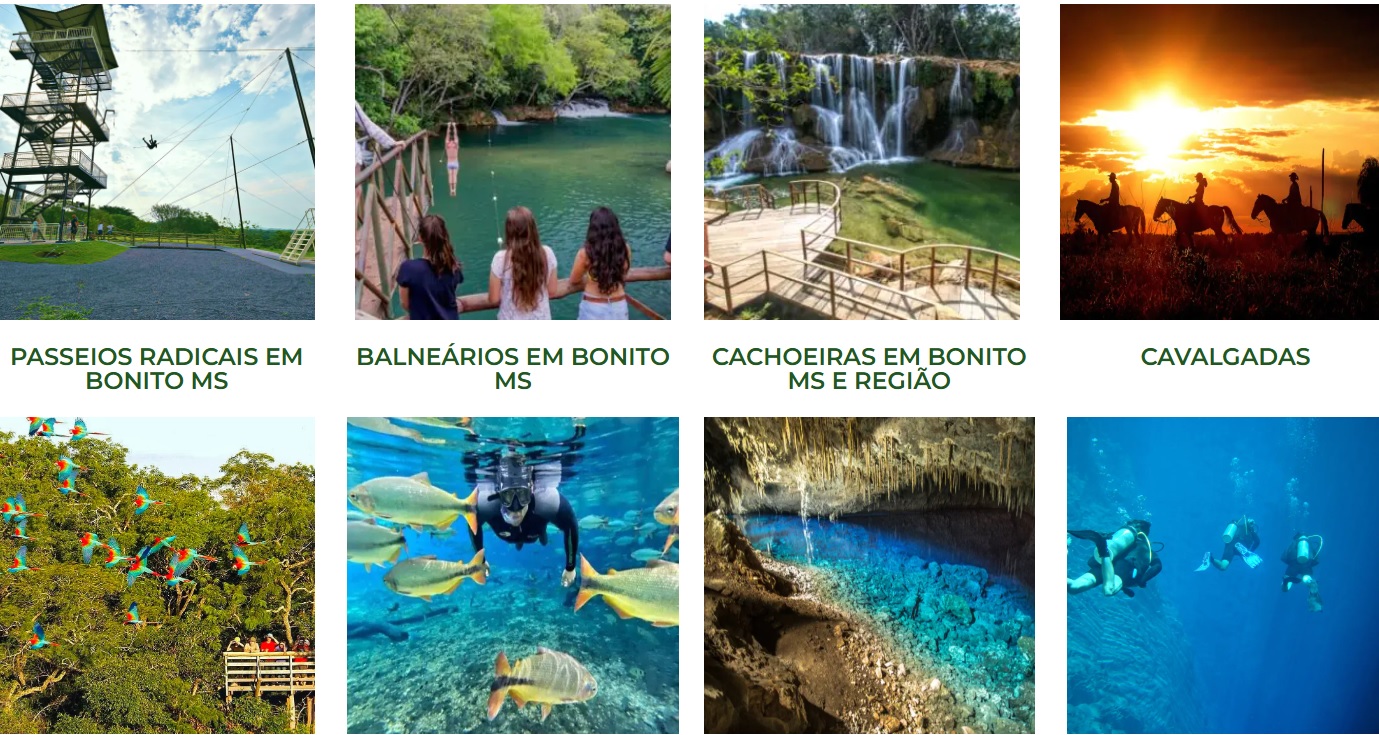 FOTOS: SITE AGÊNCIA VIVA BONITO